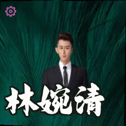 林婉清